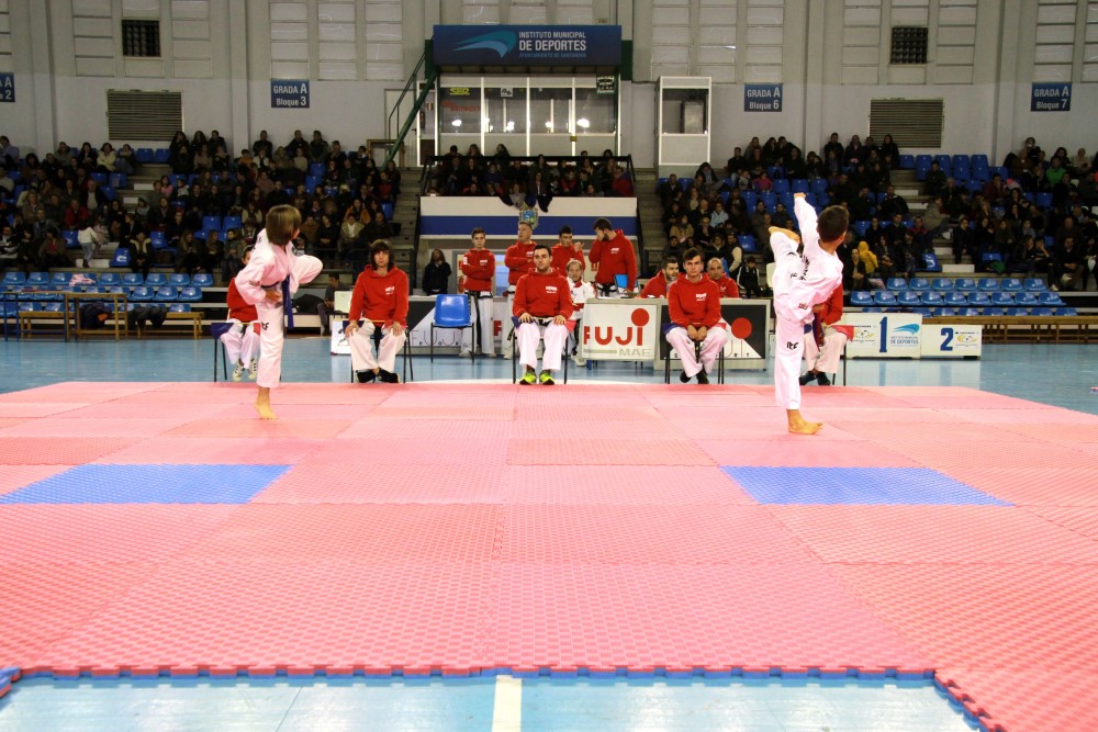 Taekwondo Dic 2016 (222).jpg